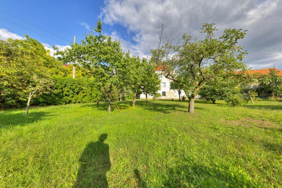 Garten Westseite Mehrfamilienhaus Nauen