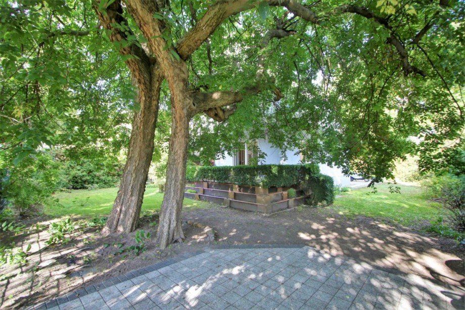 Blick zum Haus Einfamilienhaus Berlin