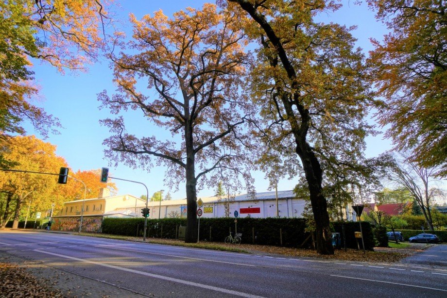 Ansicht von Westen Halle / Lager / Produktion Potsdam
