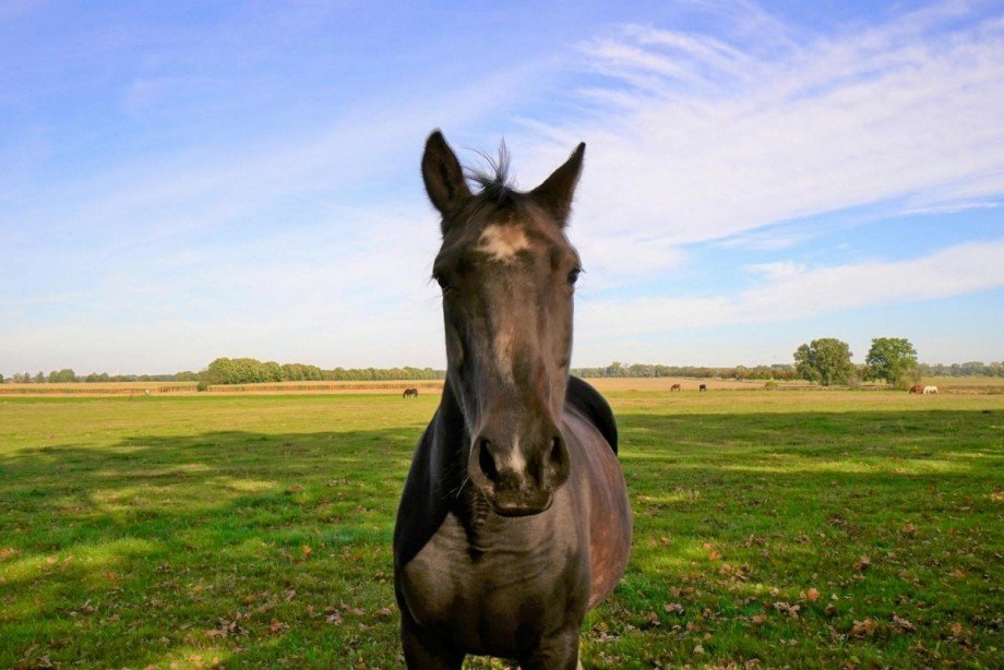 Landleben Mehrfamilienhaus Nauen