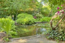 Hauptbild Bauland in 2. Reihe in Lichterfelde